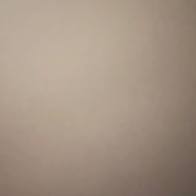 팡팡