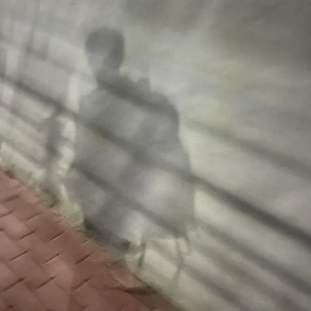 라이프아티스트