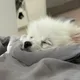 거리기자
