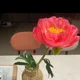 다정거래