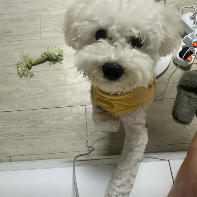 코코코