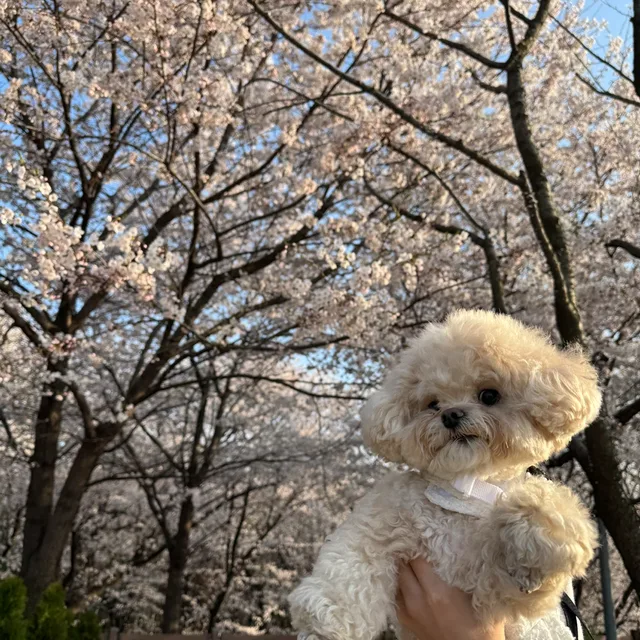 쏘닝