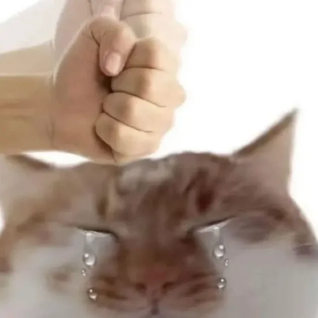 제발이라는감정