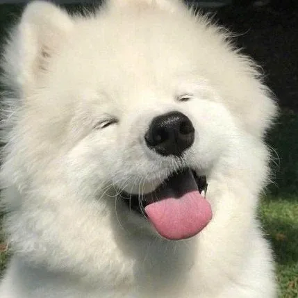 크롱