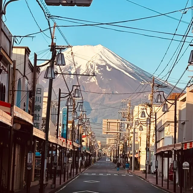 당근머니