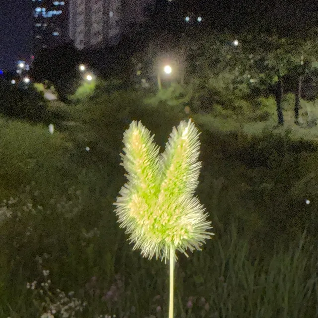 풀주먹