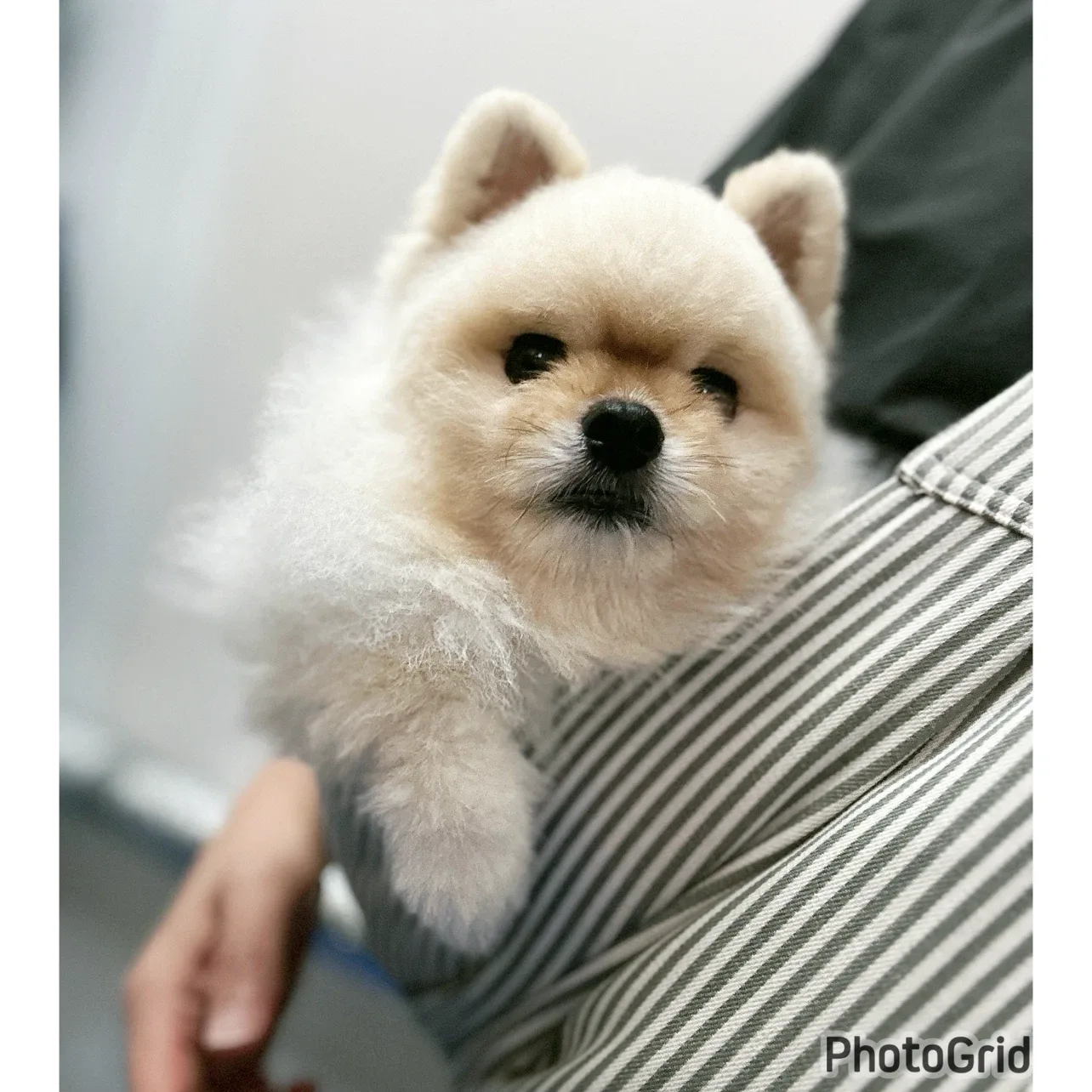 뚱이아빠