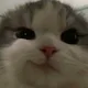 망구