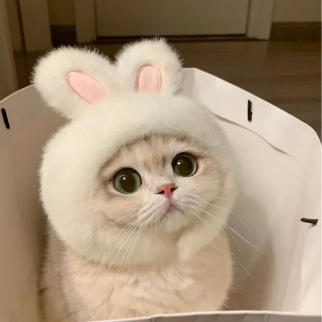 꽃이좋은토끼