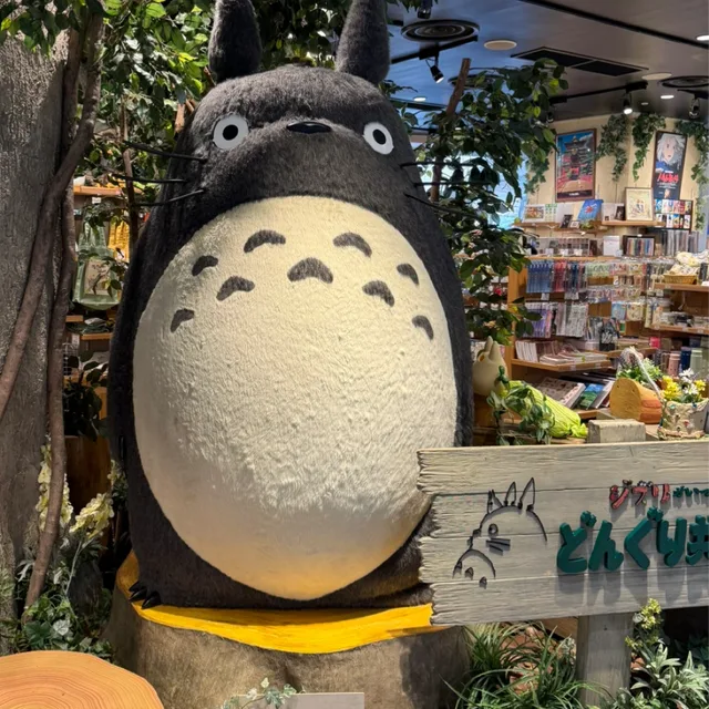 꽃비