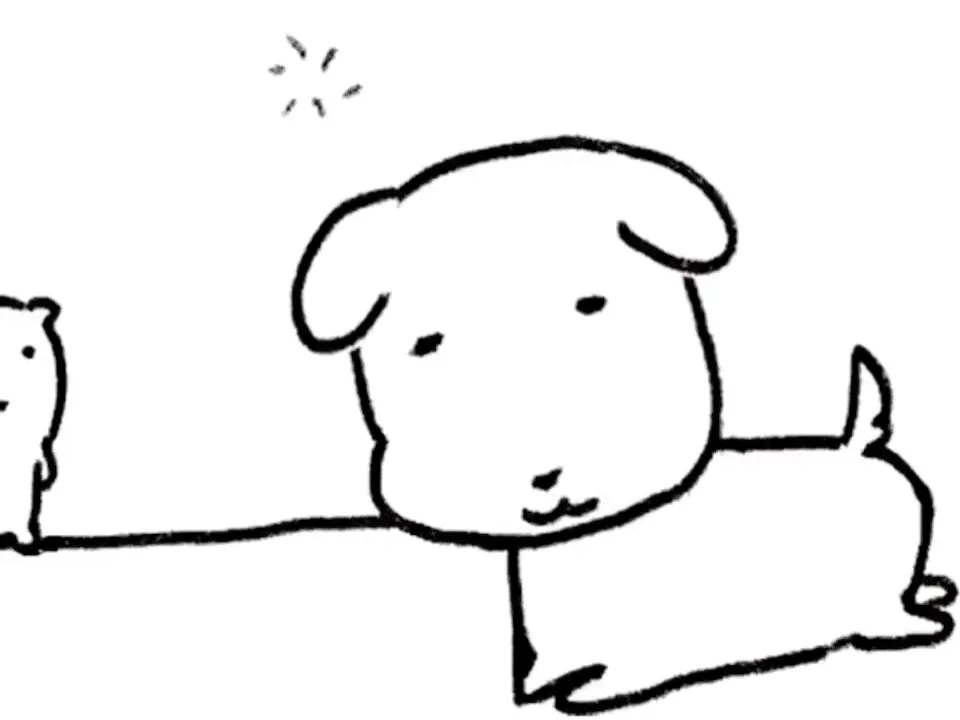 쫑쫑