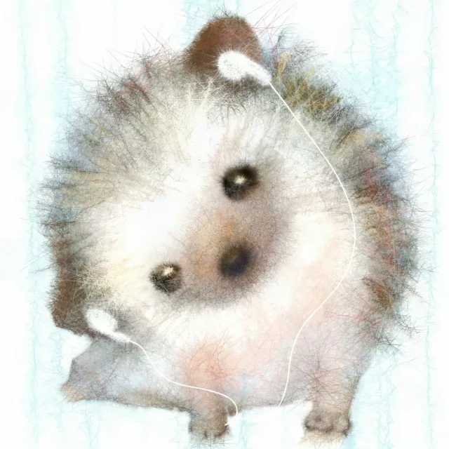 자몽이