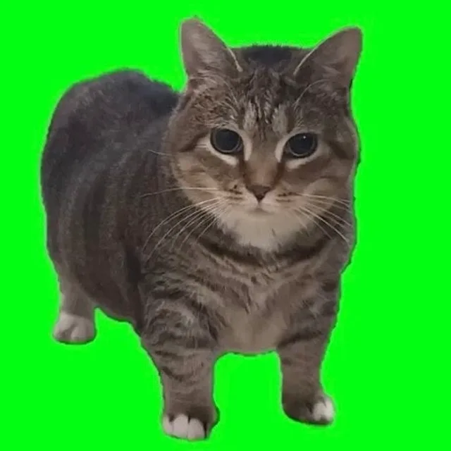 뺙이