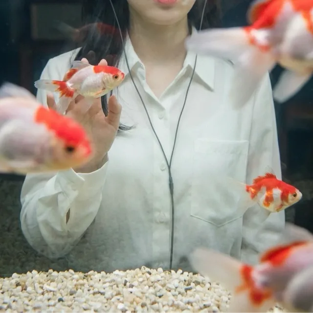 헬린이