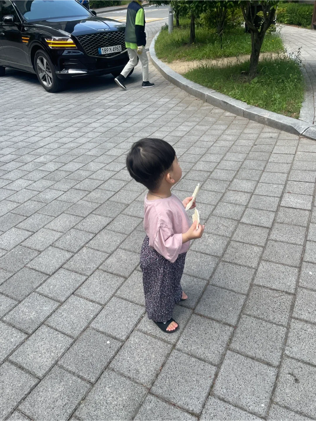호랑