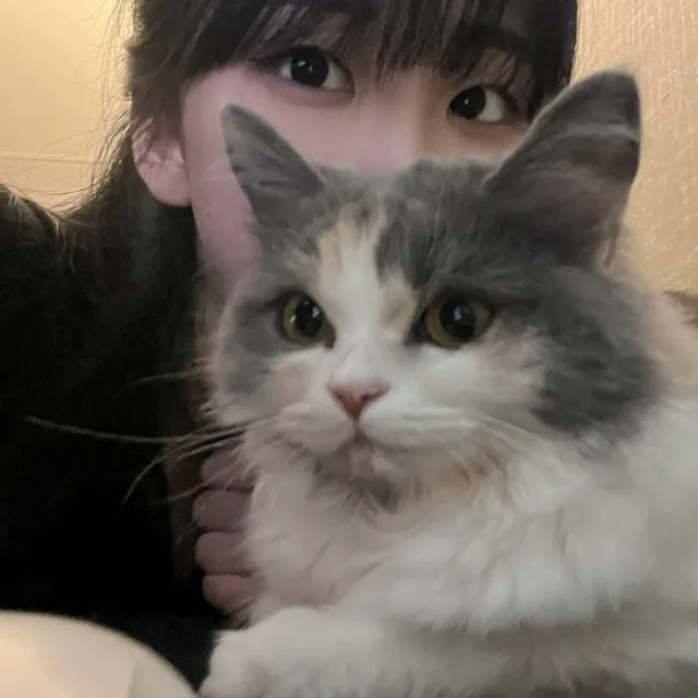 추추