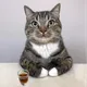 또이