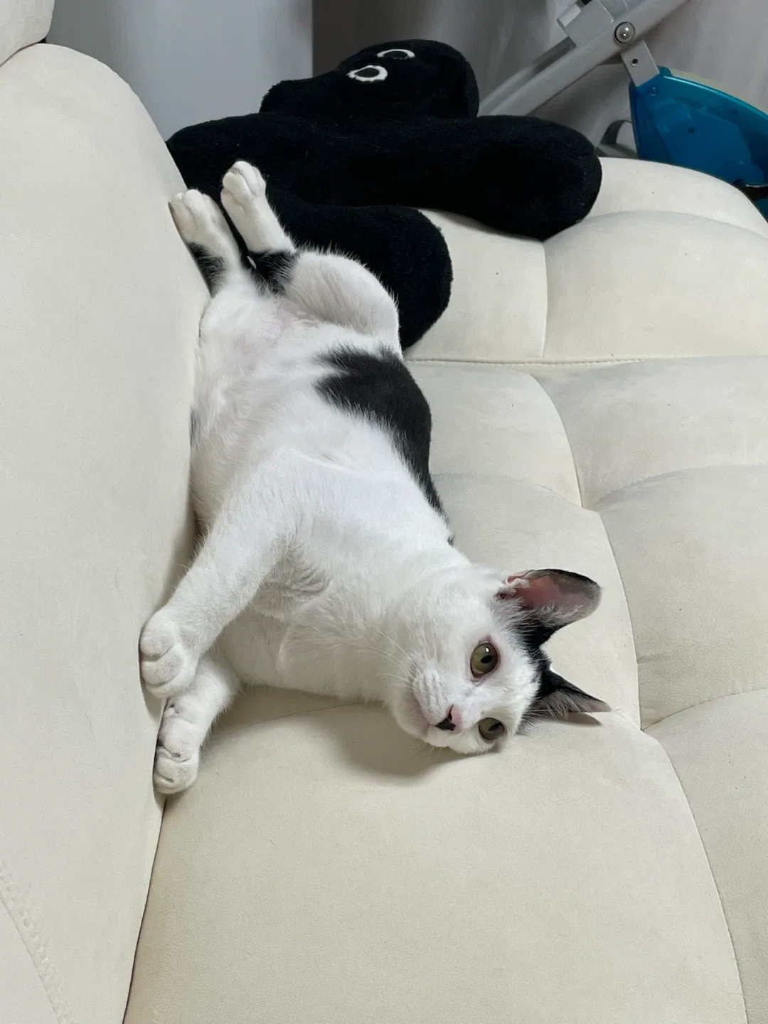 해야