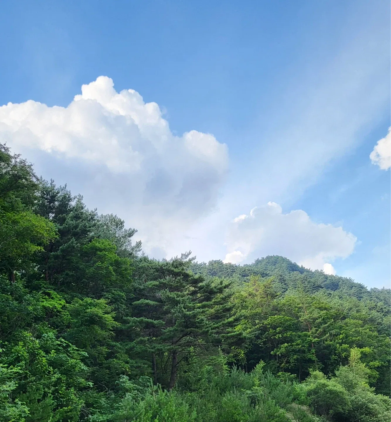 돈버는청춘