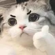진미채