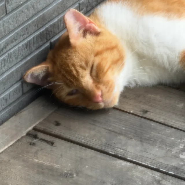 억억