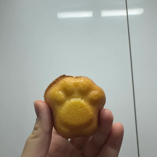 발바닥