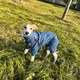 당근은주황