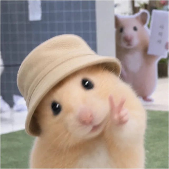 신나하는해달