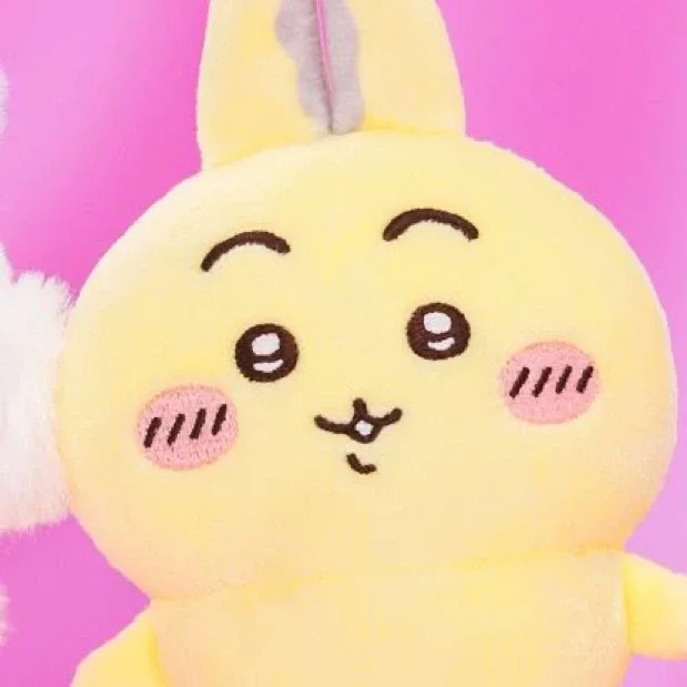 묘메