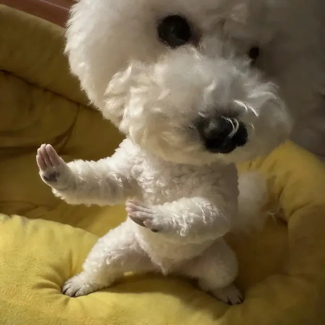 이당근
