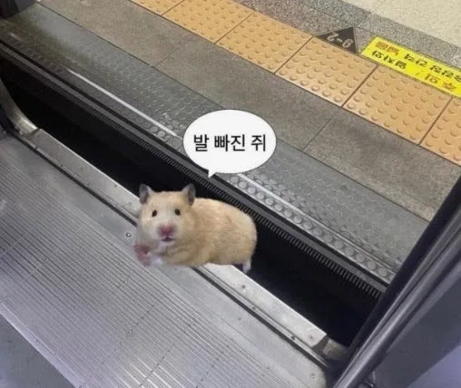 혜님