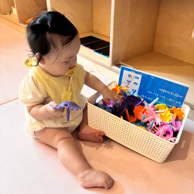 롭쏨