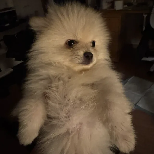 큰당