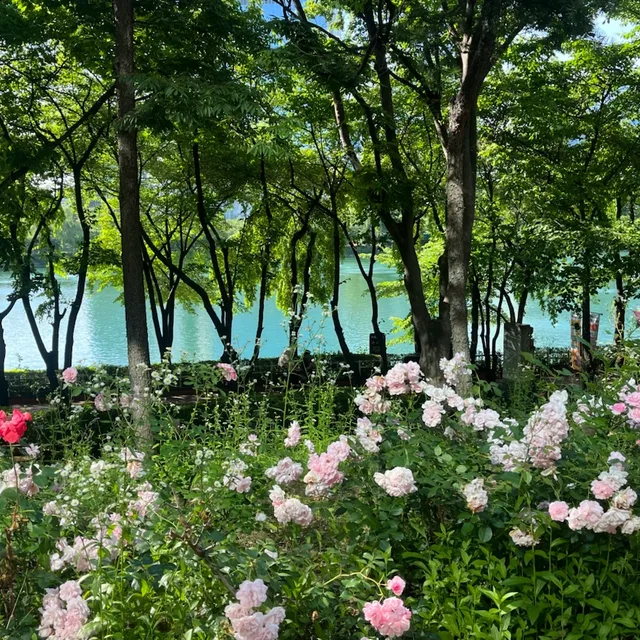 강남4구