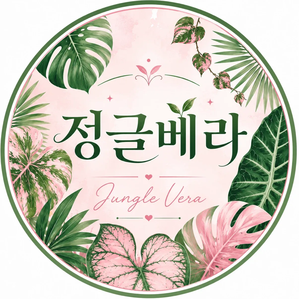 정글베라