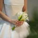 당근케잌