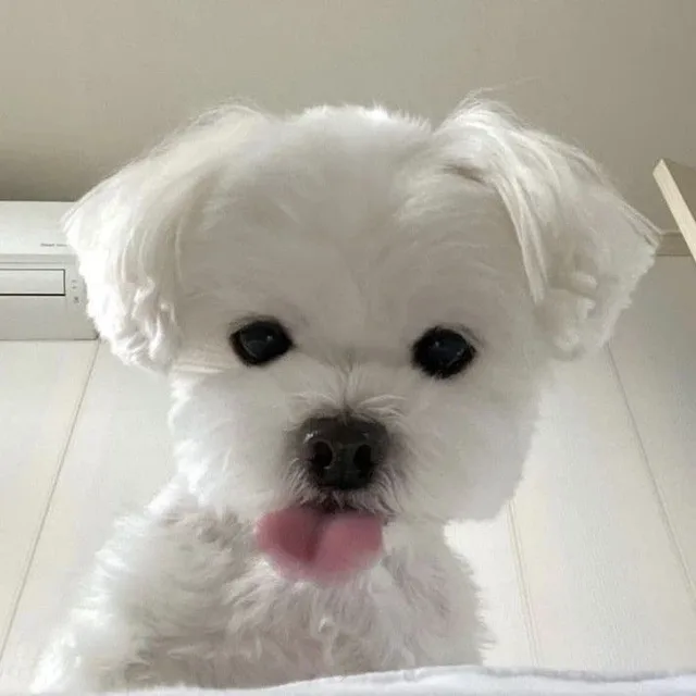 크앙