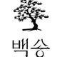 청담백송