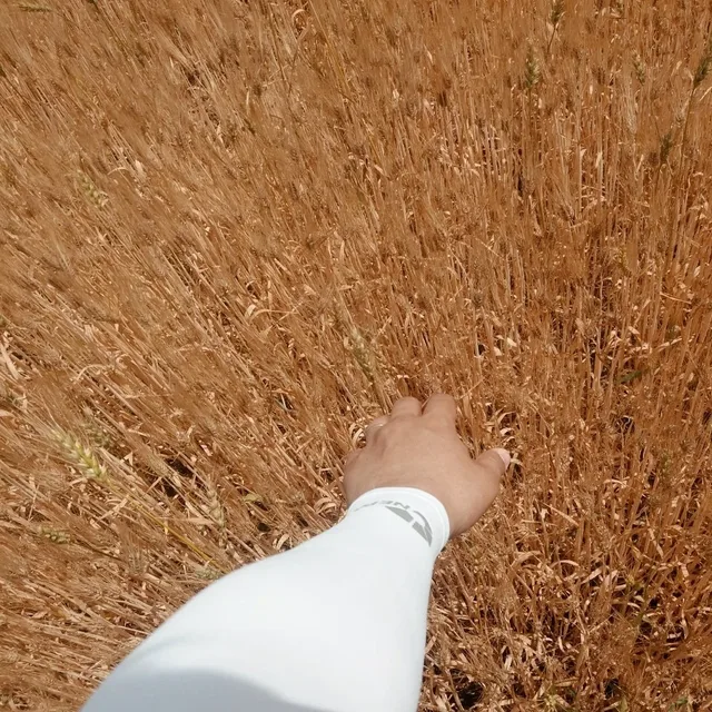 미스타큐
