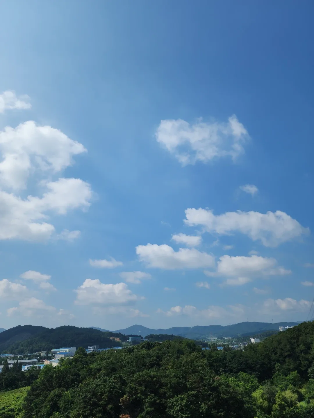 구스