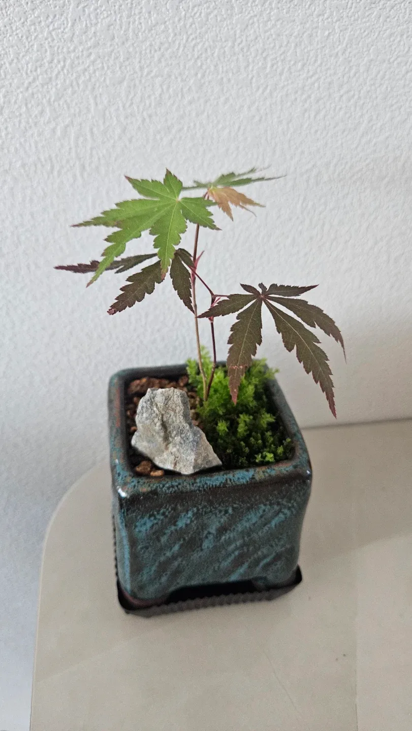 열님