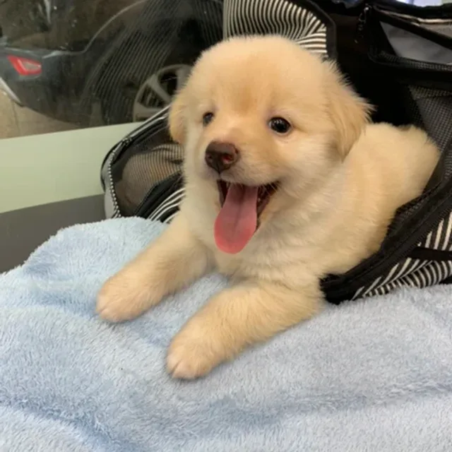 모카
