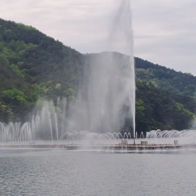 신매동