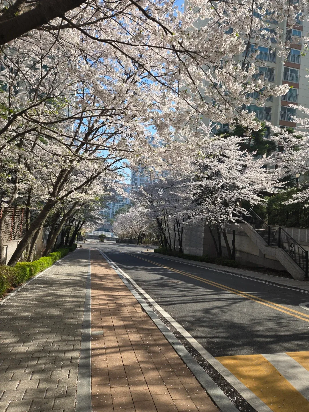 당그니지