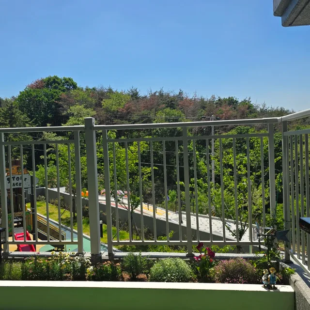 절대긍정