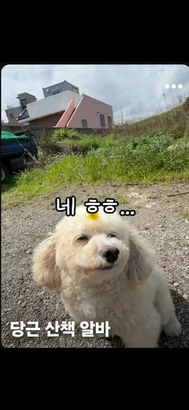 나는김미깡