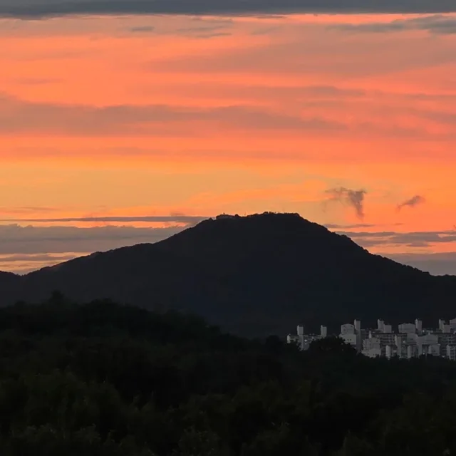 집수리