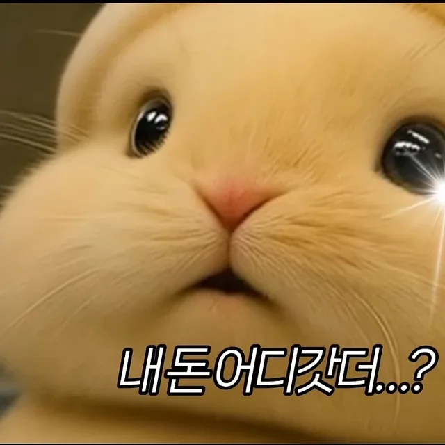 쏘이