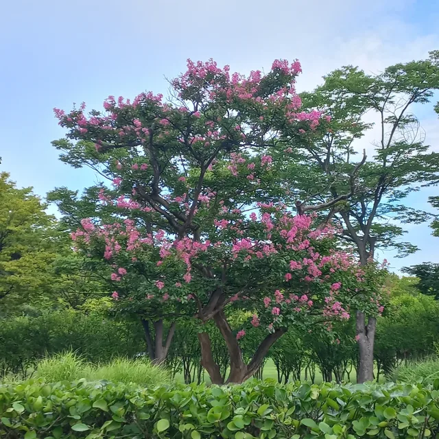 선선해지고있다