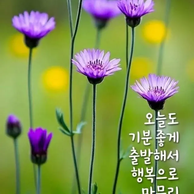 동그라미